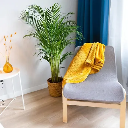 Betterbeds Apartment